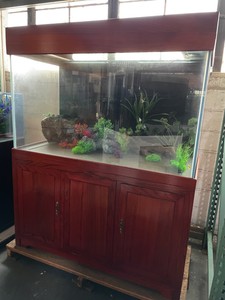 olx aquarium