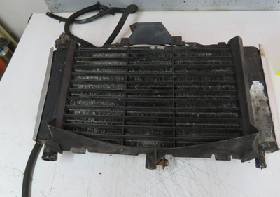 Yamaha FZ6 Kühler & Lüfter Baugruppe 2004-2007 Original OEM