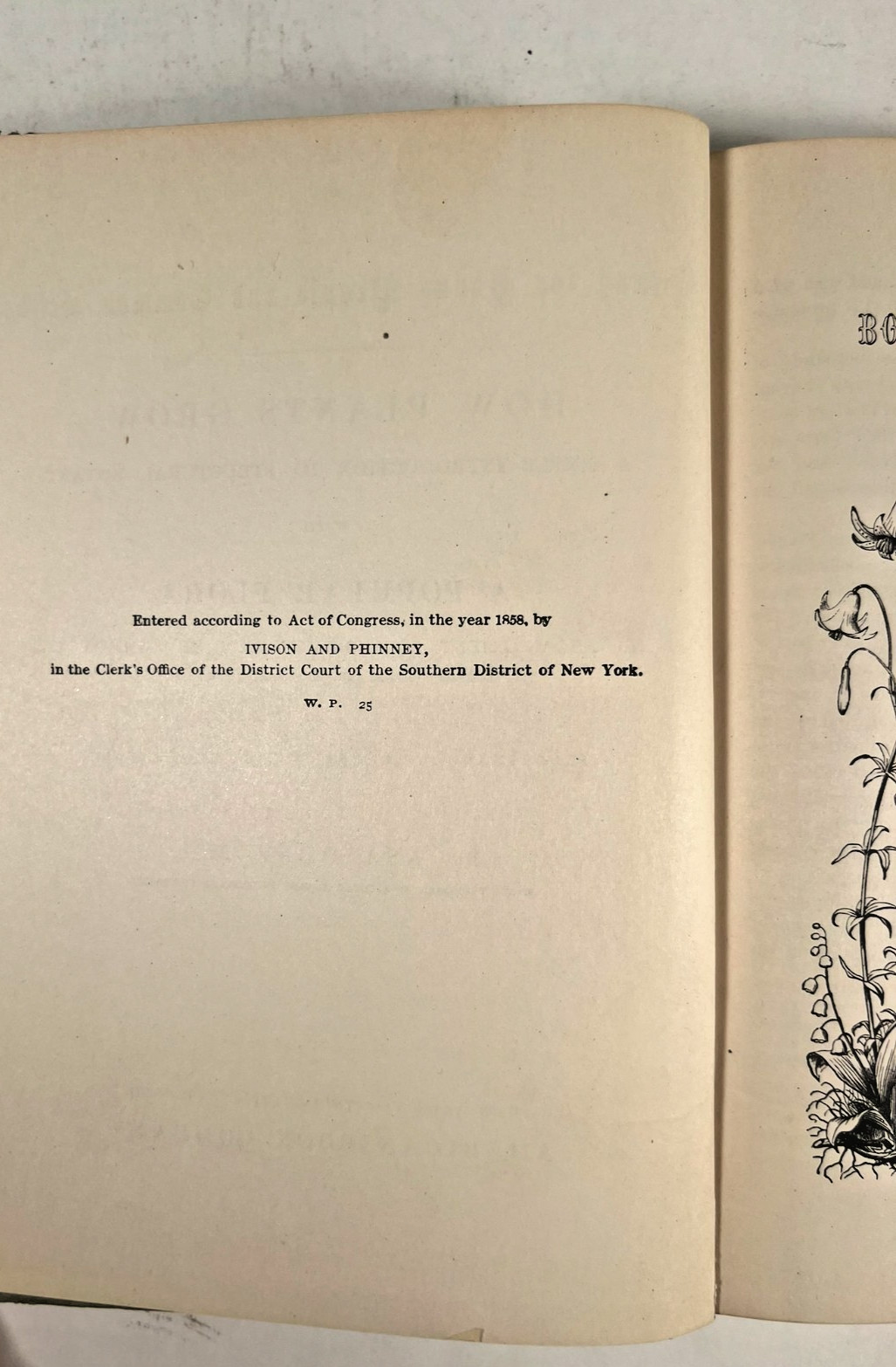 How Plants Grow with A Popular Flora by Asa Gray, M. D. 1858 ACCEPTABLE
