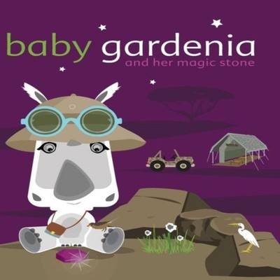 Baby Gardenia and Her Magic Stone Picasso Zelda Hardcover AMPdzin