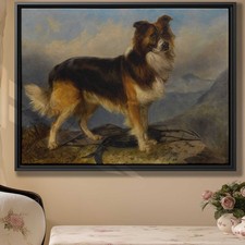 Mountain Dog Canvas Print Animal Art Vintage Home Decor Nature Wall Artwork