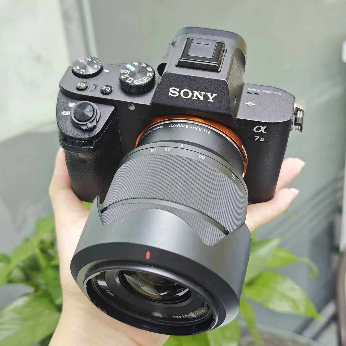 Sony A7II Digital SLR Cameras for Sale | Shop New & Used Digital
