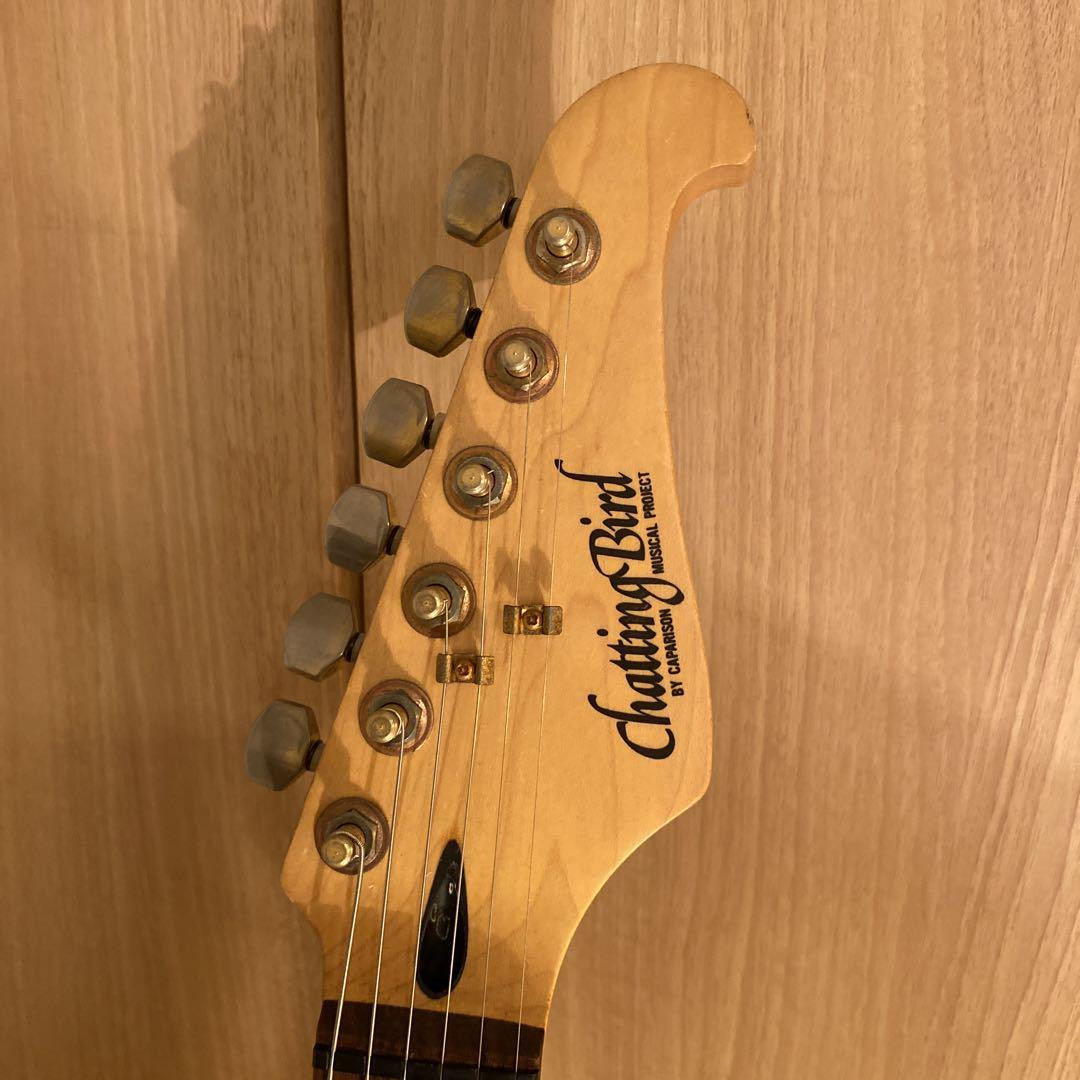Cas-390 Electric Guitar with Rare Chatting Bird Design | eBay