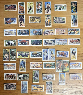 Asian Wild Life Brooke Bond  Tea Cards Full Set of 50 C.F. Tunnicliffe Pictures