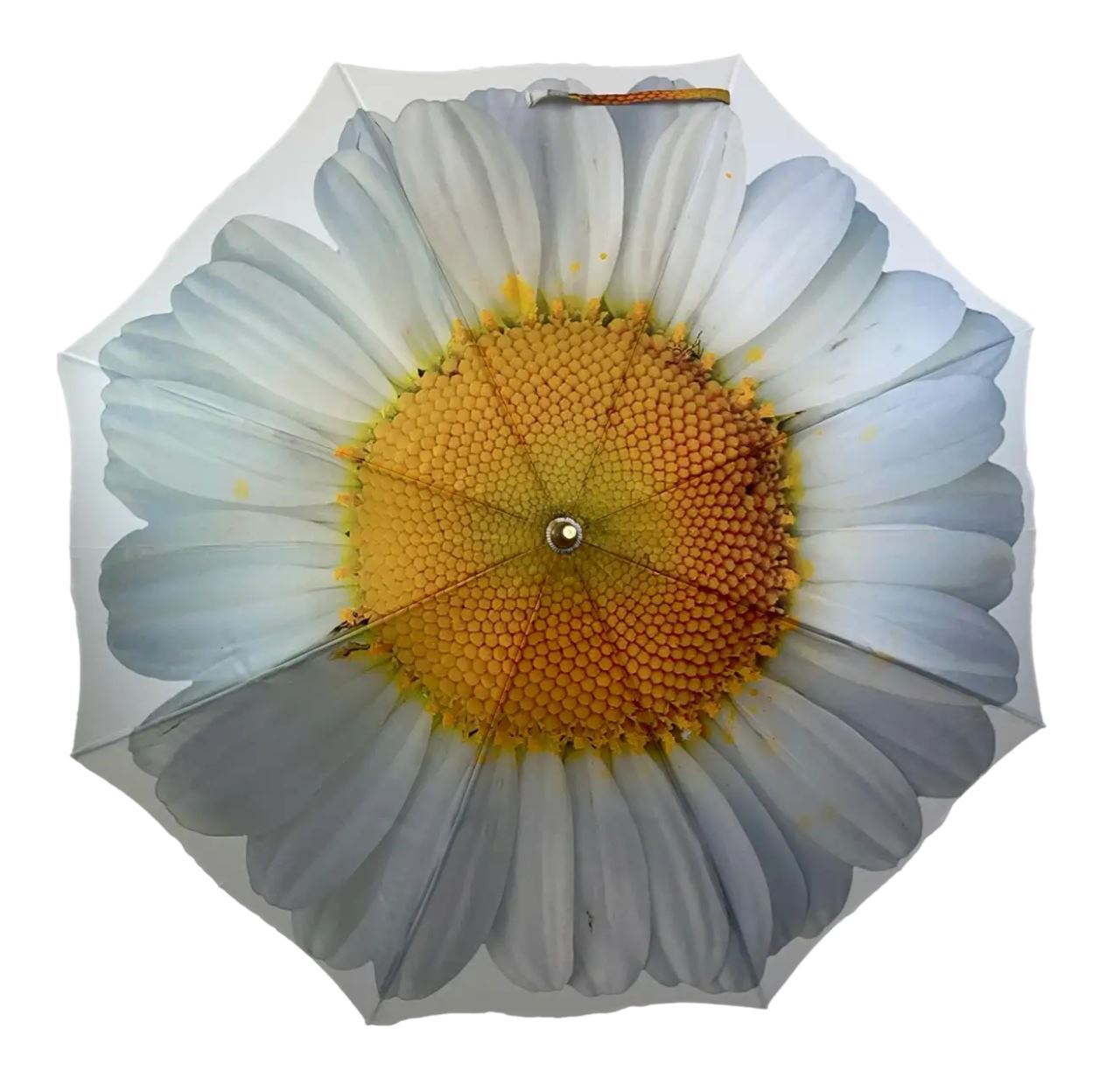 StormKing Auto Folding Floral Umbrella - White Daisy | Auto Open & Close | G