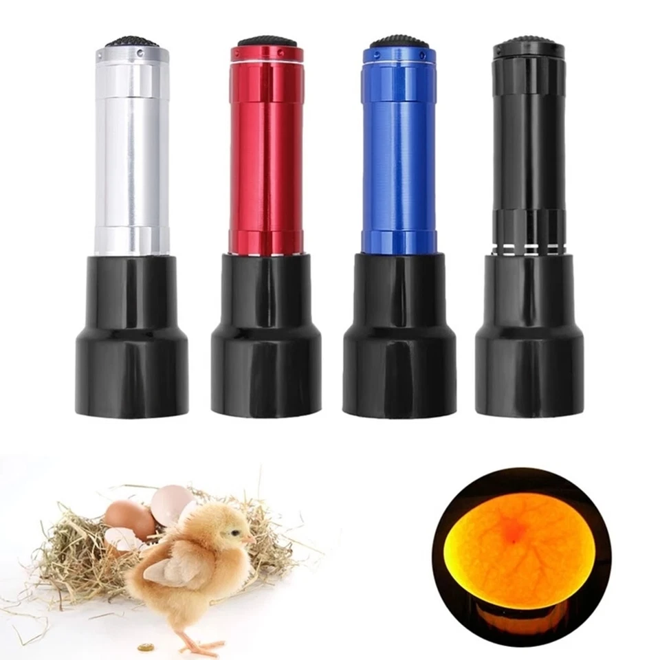 LED Schierlampe Prüflampe Bruteier Eierdurchleuchter Eier Inkubator Brutmaschine - Bild 2 von 4