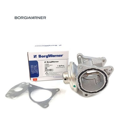 BorgWarner 7496D AGR Ventil für VW Audi Seat Skoda 1.9 TDI 2.0 TDI 038131501AN