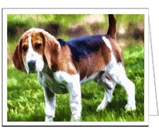 American Foxhound Blank Notecards - Set of Six