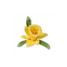 Fustelle Big Shot Sizzix Thinlits Fiore, Narciso Scrapbooking