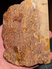 The Good Old Stuff: Fossil script stone slab Lot 4 — photo 6