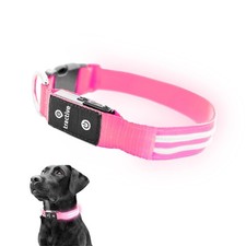 LED Dog Collar USB Rechargeable Waterproof Light Up Pet Collar - Pink