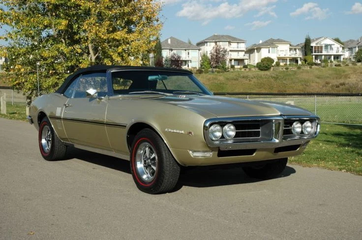 Pontiac Firebird H.O. 1967 1968 Kit de calcomanías a rayas Foto 4 de 4