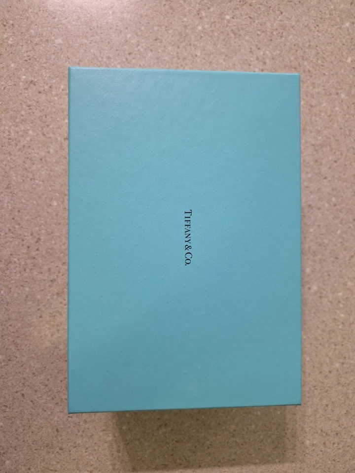 Juego de 2 copas de champán de cristal sin tallo Tiffany & Co. con caja de copas nuevas Foto 3 de 3