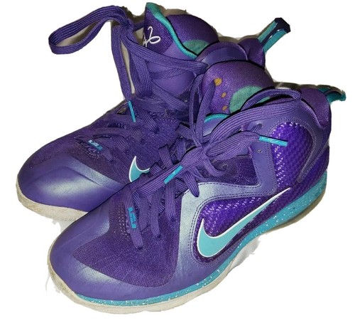 Nike Lebron Nine 9 IX Sneakers Summit 