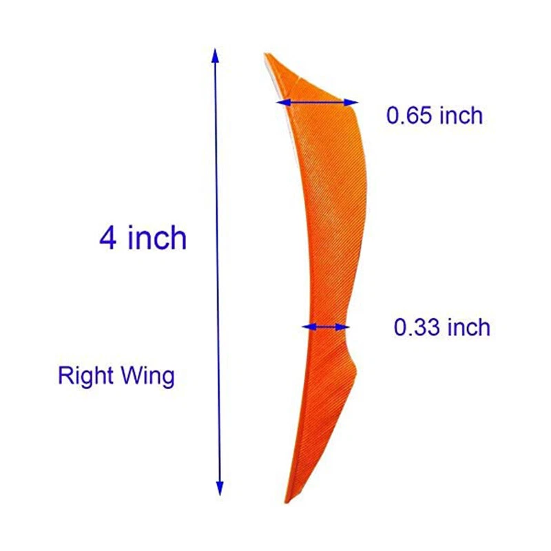50pcs 4" Archery Arrow Feather Fletches Natural Turkey Fletching Right Wings DIY - Image 2 of 4
