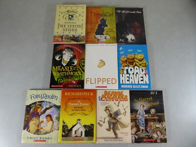 Book Lot of 10 Young Adult Teen Chapter Books Flipped Toad Heaven Time Cat NICE