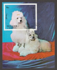WHITE STANDARD POODLE ** Int'l Dog Postage Stamp Art Collection *Great Gift Idea