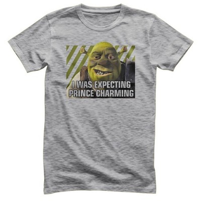 Offiziell Lizenziert Shrek - I Was Expecting Prince Charming Herren