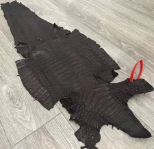 Brown Genuine Caiman Crocodile belly Hide Leather Skin real alligator Croc 395