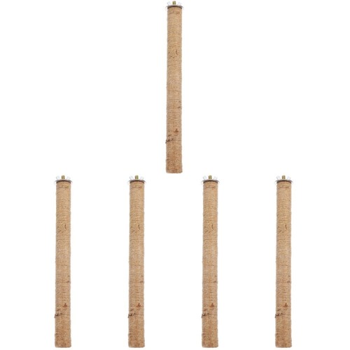 5pcs Bird Cage Parrot debout Rod Bird Bird Perch Stick Parrot Stand Perch Bird tendance