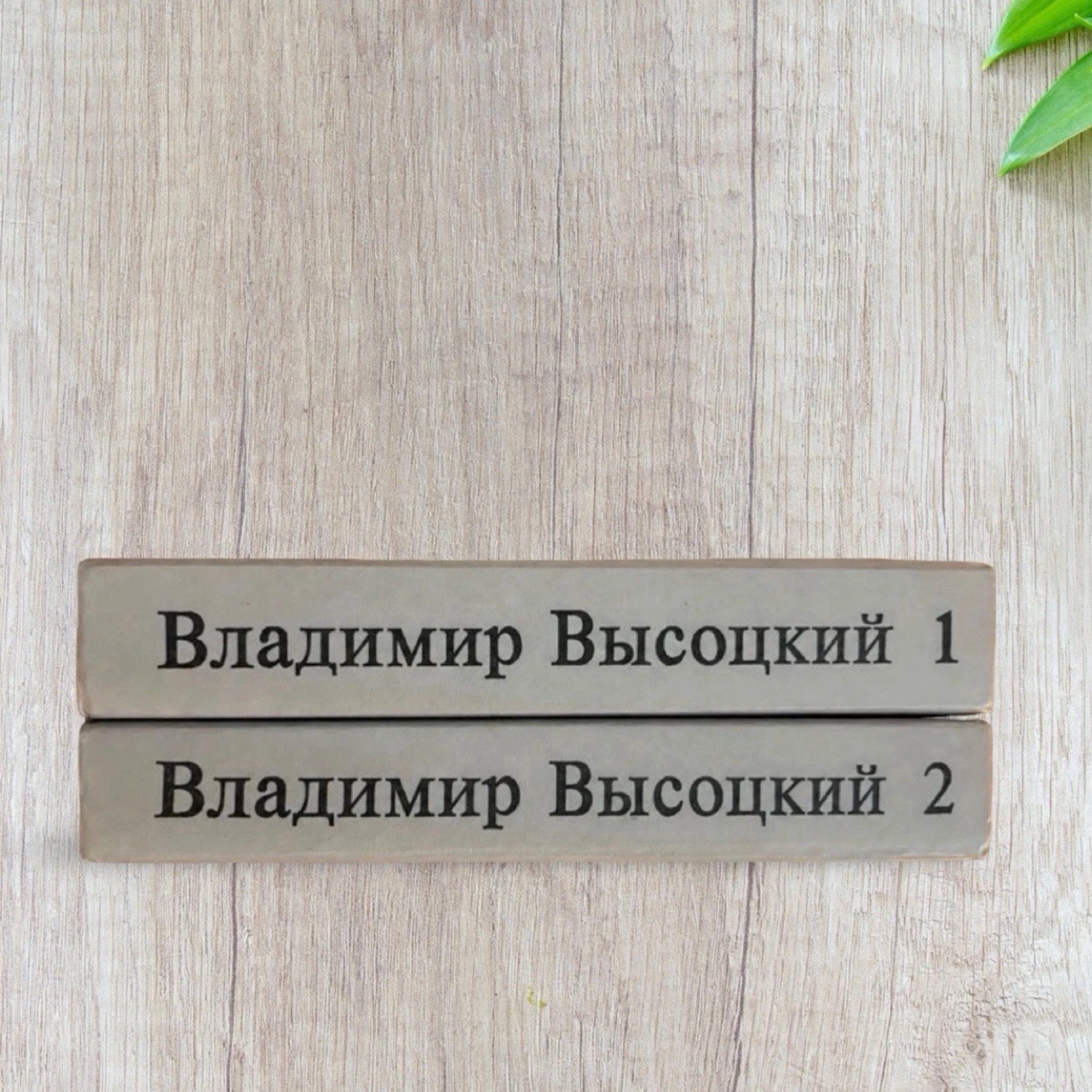 Владимир Семёнович Высоцкий – Сочинения в двух томах