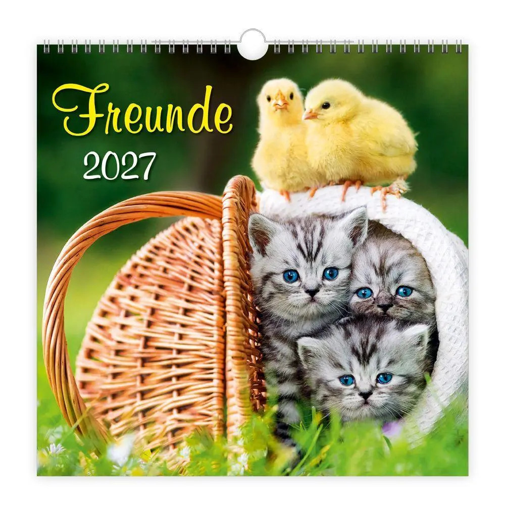 Trötsch Verlag Gmbh Trötsch - Wandkalender Freunde 2027 - Image 5
