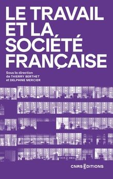 Le travail et la société française von Berthet, Thi... | Buch | Zustand sehr gut