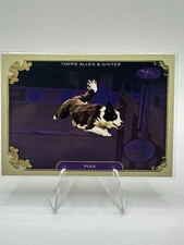 2024 Topps Allen & Ginter Pink #SOS-2 Stars Of The Show Westminster Kennel Club