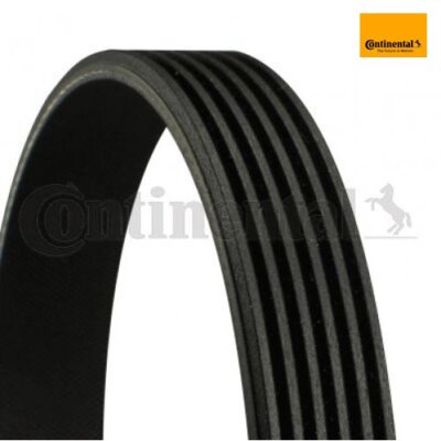 V-ribbed belt Continental CTAM 6PK844 for VW Ford Volvo