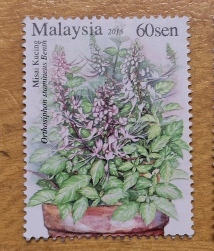 2015 Malaysia Medicinal Plants Series III Timbuhan Berkhasiat Seri 3v Mint Stamp - Picture 2 of 7
