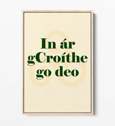 IN ÁR GROÍTHE GO DEO IRISH GAEILGE QUOTE -FLOAT EFFECT FRAMED CANVAS WALL PRINT - Picture 7 of 12