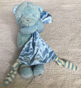 blue teddy comforter
