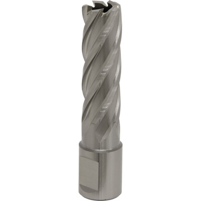 17 mm x 50 mm Tiefe Rotabor Fräser - M2 Stahl Ring Metall Kernbohrer 19 mm Schaft