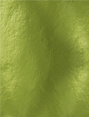 Tonic Studios Mirror Glossy Cardstock 8.5X11 5/Pkg Holly Green