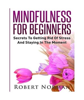 Mindfulness for Beginners: Secrets to Getting Rid of Stress and Staying in the M