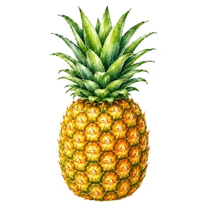 Pineapple Fruit Food Self Adhesive Vinyl Sticker Wall Decal Various Sizes