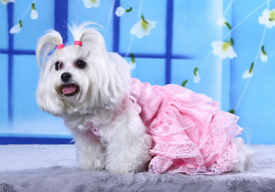 pink dog wedding dress DoggyDolly Authentic Pet Dog Clothes Pink Elegant Wedding Dress