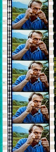 Jurassic Park 1993 Very Rare Unmounted 35mm Film Cells - Steven Spielberg - Picture 137 of 142