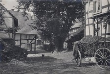 Antikes Foto Niederbierenbach Kaffeetrinkerlinde Nümbrecht Hanna Egger 1930