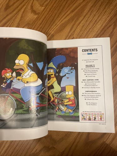 Simpsons Time Special Edition - Picture 2 of 3