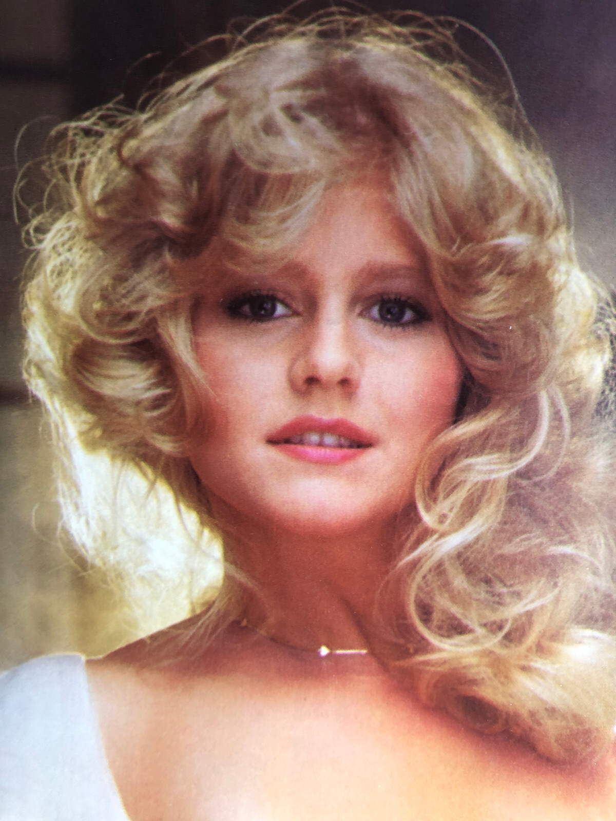 1982 Miss July Lynda Wiesmeier Playboy Centerfold and Pictorial *free