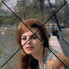 Photo by MICHELE MERCIER