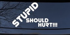 Stupid Should Hurt Funny Car or Truck Window Vinyl Decal Sticker