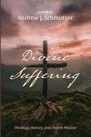 Andrew J. Schmutzer | Divine Suffering | Taschenbuch | Englisch (2023)