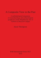 A Composite View To The Past | Jason Thompson | Taschenbuch | Englisch | 2014