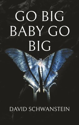 Go big baby go big David Schwanstein Taschenbuch 90 S. Deutsch 2024