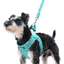 Dog Harness and Leash Set for Small Medium Dogs No Pull Step-in Soft Mesh Pup...