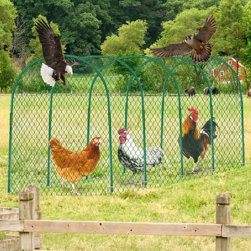 Chicken Tunnel, Chicken Coop Run, 157×31 Inches Chicken Tunnels for Outside Yard - Picture 2 of 8