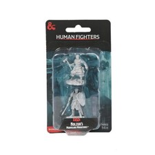 WizKids WZK-90639 Dungeons  Dragons: Nolzur's Marvelous Unpainted Miniatures