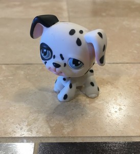 lps dalmatian